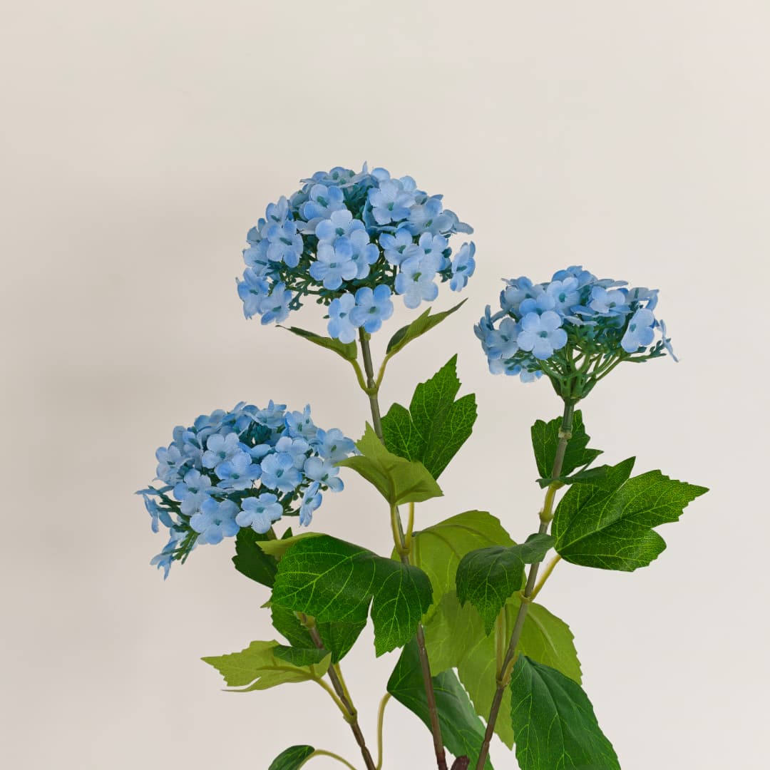 Viburnum Flower (70cm) | Flowers & Greenery