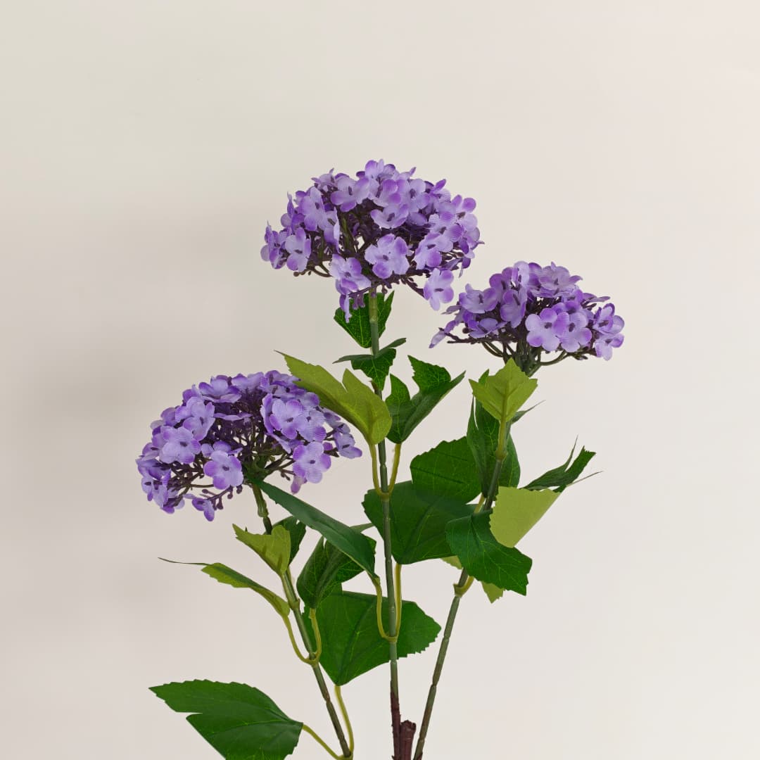 Viburnum Flower (70cm) | Tall Flowers