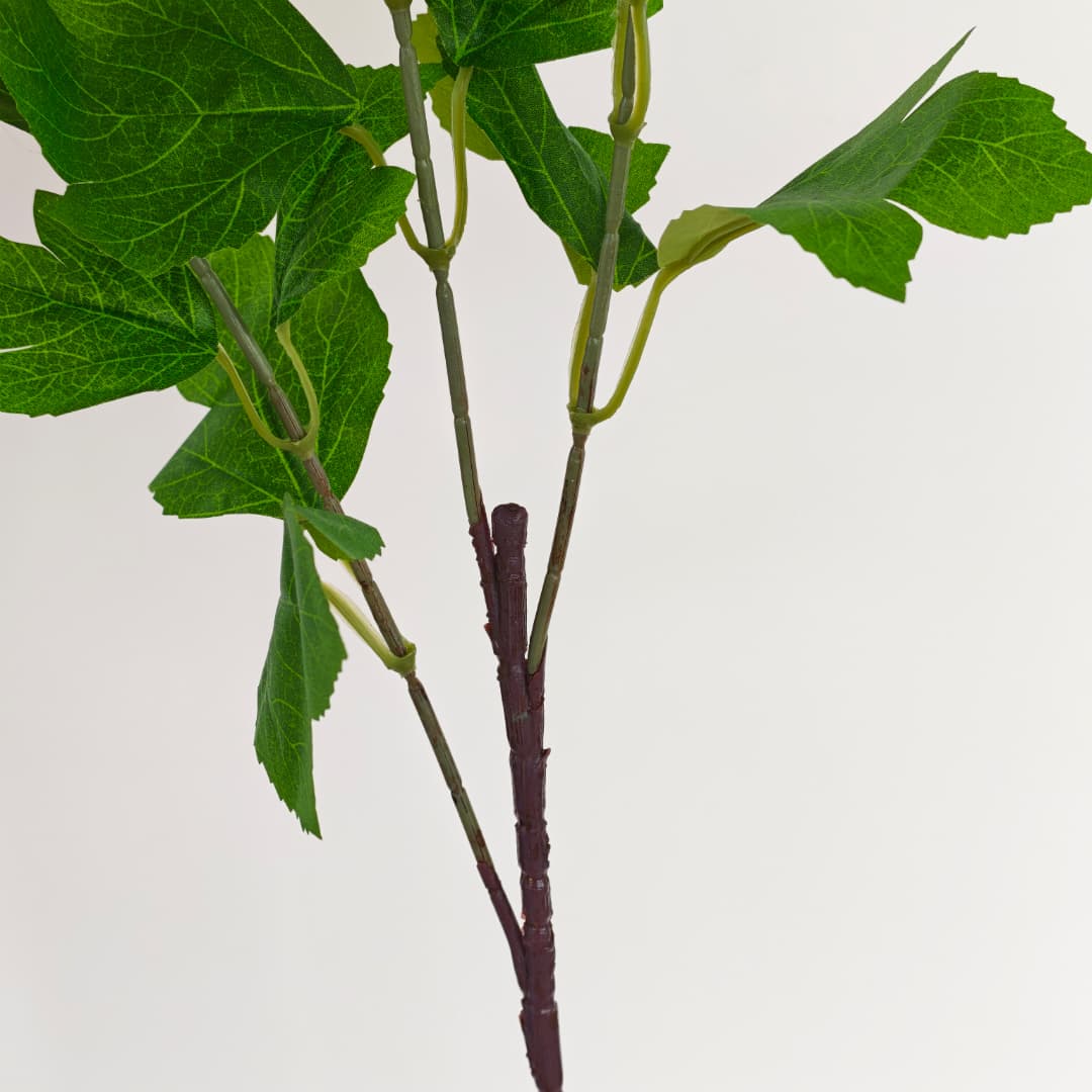 Viburnum Flower (70cm) | Tall Flowers