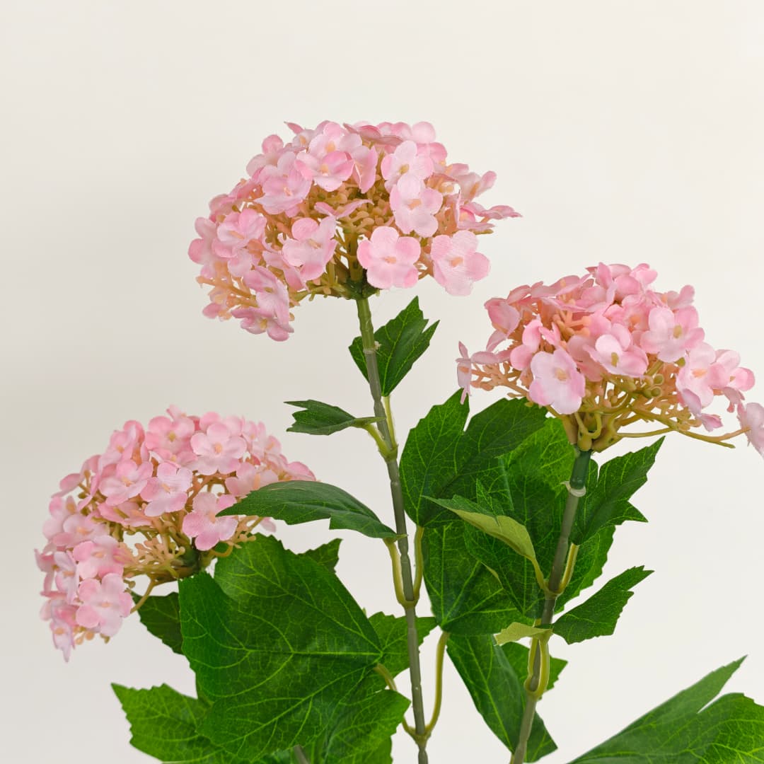Viburnum Flower (70cm) | Tall Flowers