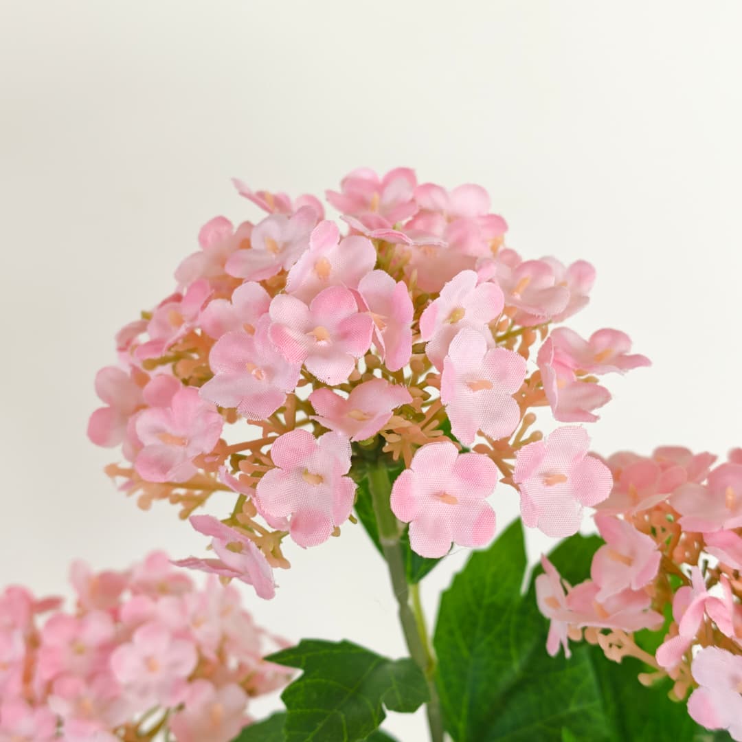 Viburnum Flower (70cm) | Tall Flowers