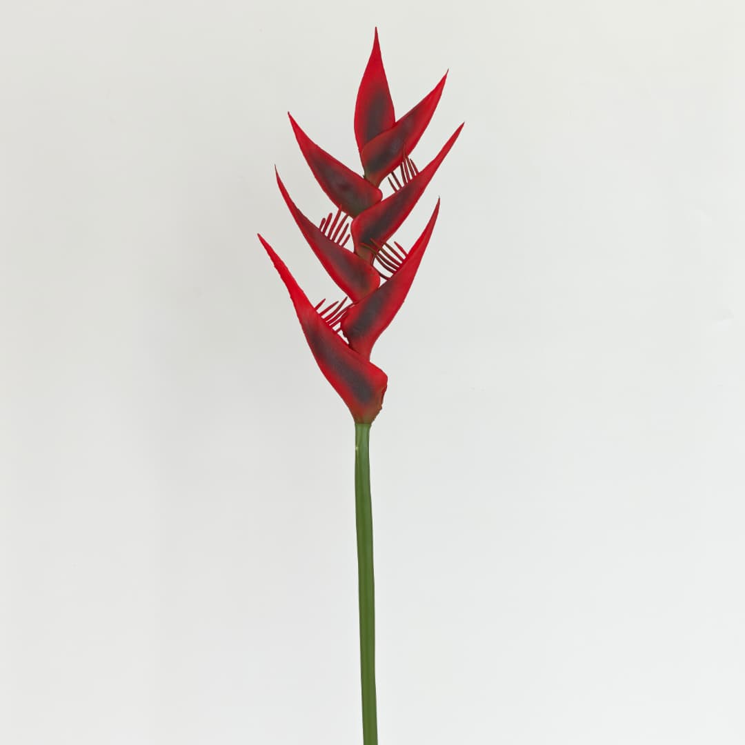 Heliconia Flower (85cm) | Tall Flowers