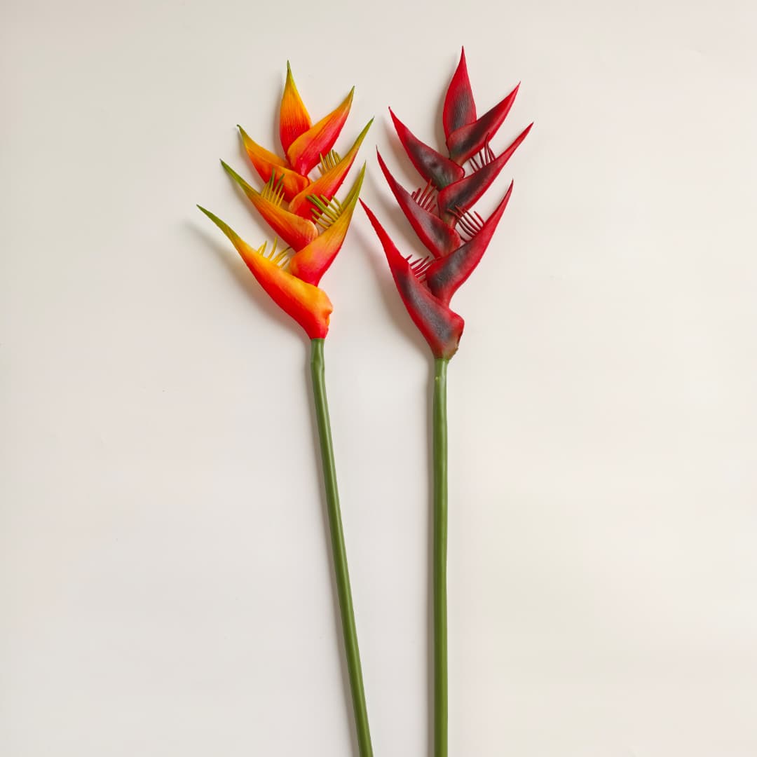 Heliconia Flower (85cm) | Tall Flowers