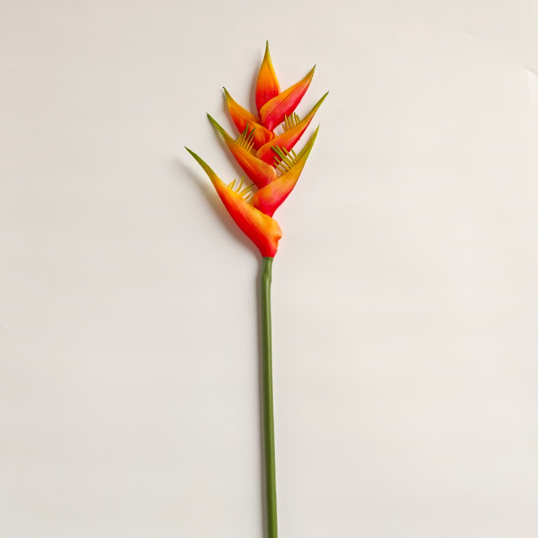 Heliconia Flower (85cm) | Flowers & Greenery