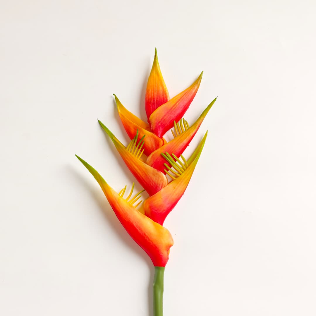 Heliconia Flower (85cm) | Tall Flowers