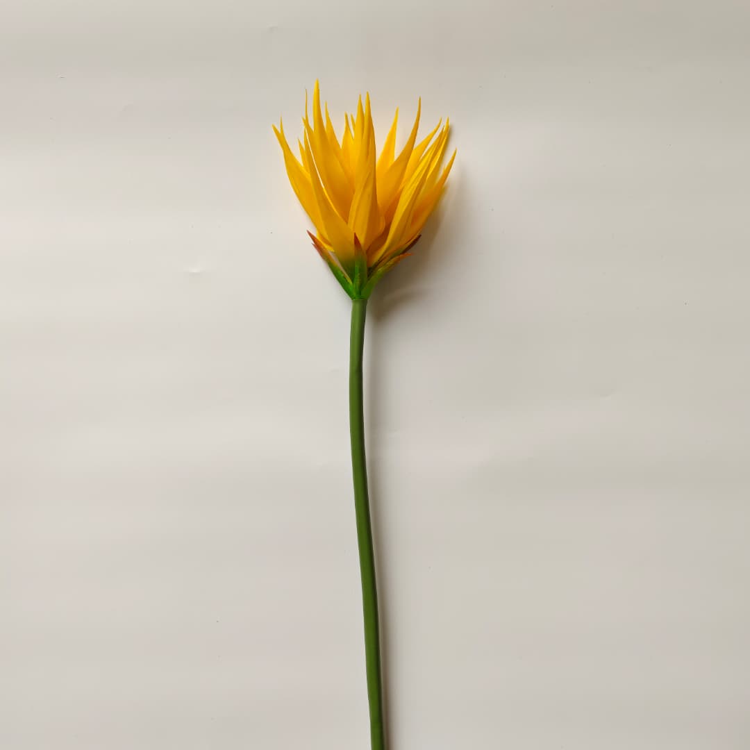 Ginger Flower (87cm) | Tall Flowers