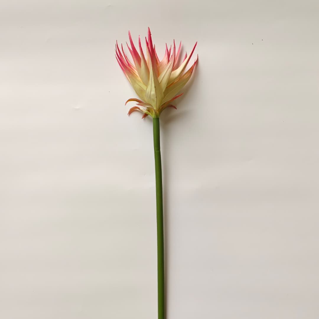 Ginger Flower (87cm) | Tall Flowers