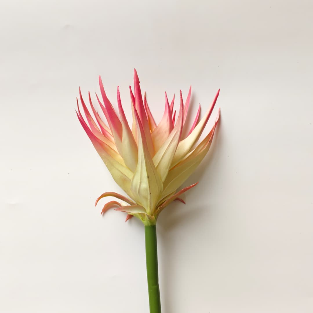 Ginger Flower (87cm) | Tall Flowers