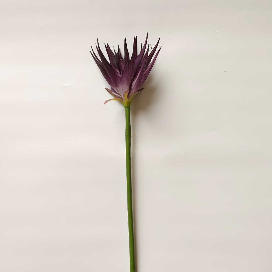 Ginger Flower (87cm) | Tall Flowers