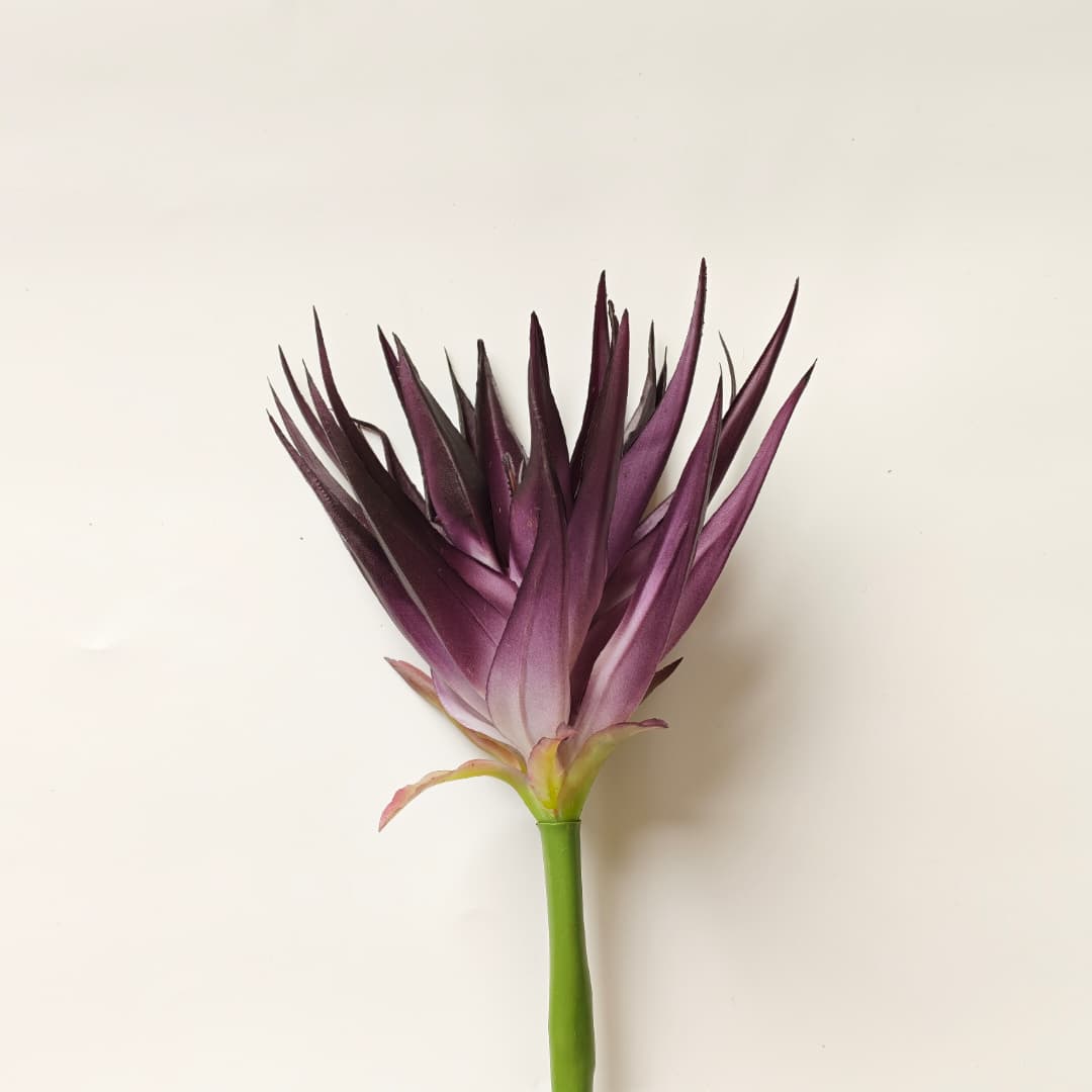 Ginger Flower (87cm) | Tall Flowers