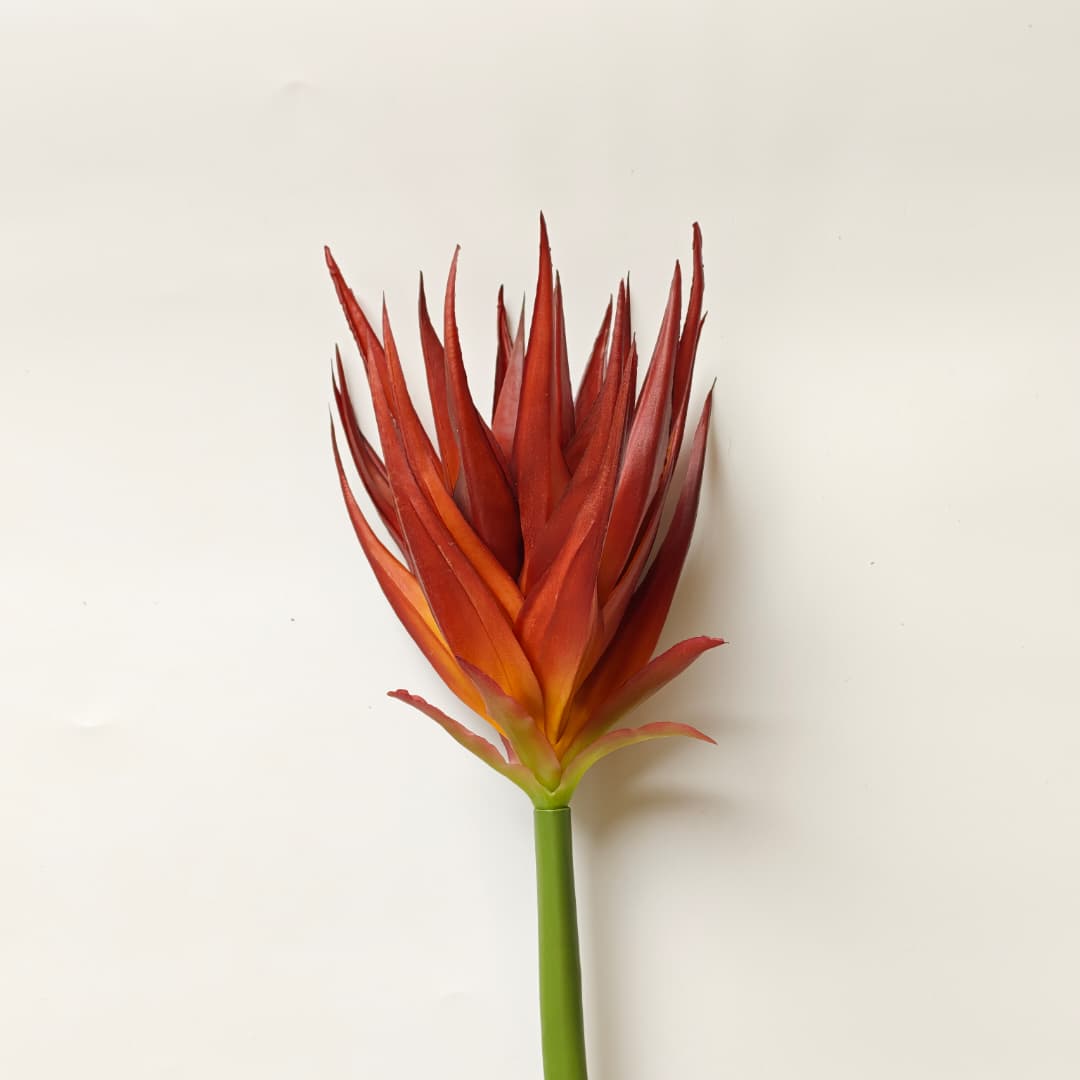 Ginger Flower (87cm) | Tall Flowers