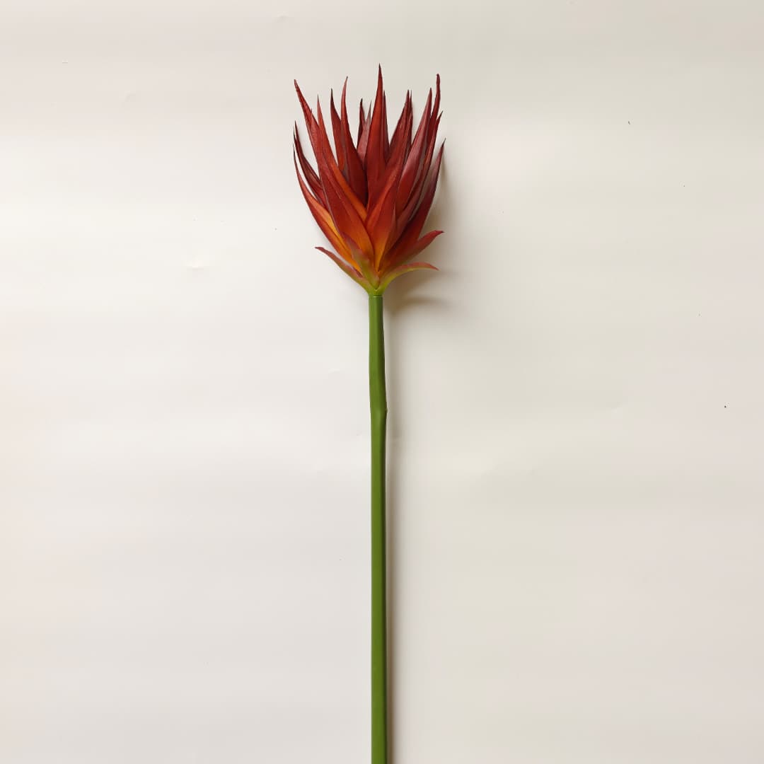 Ginger Flower (87cm) | Tall Flowers