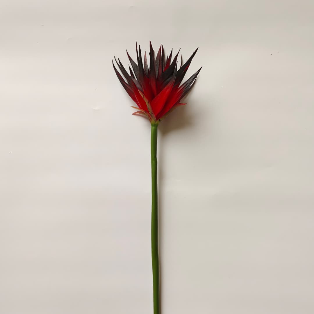 Ginger Flower (87cm) | Tall Flowers