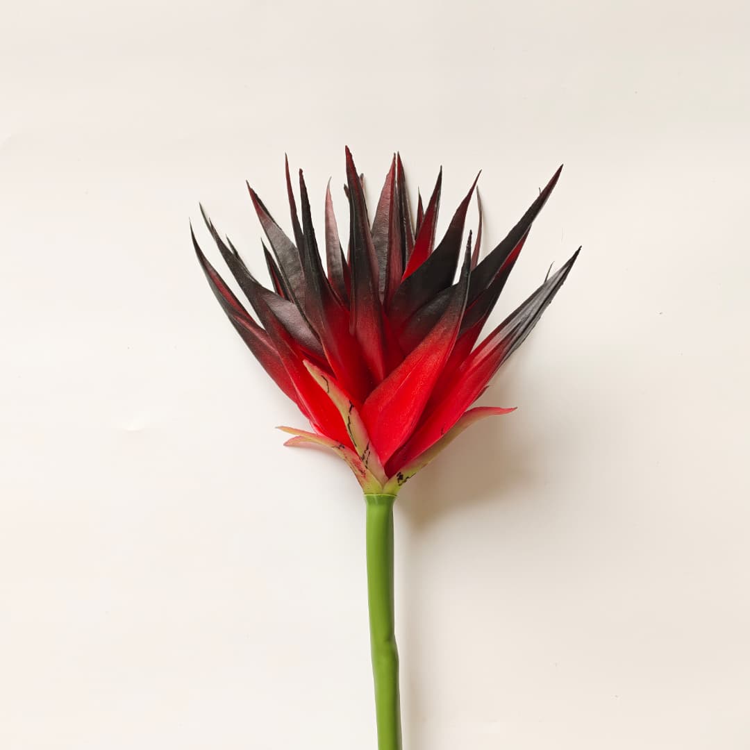 Ginger Flower (87cm) | Tall Flowers