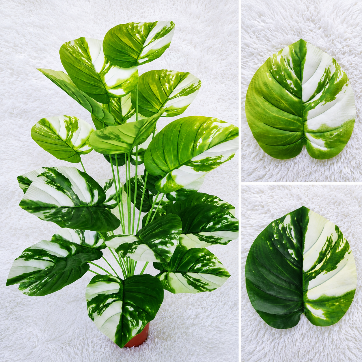 24 Heads Epipremnum with Pot (95cm) 24头绿萝-White/Green | Trees & Plants