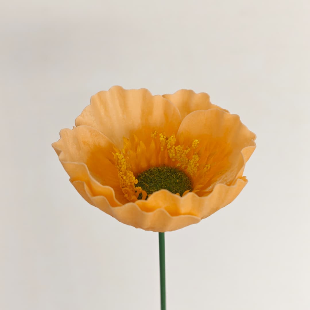 Common Poppy Soap Flower | Soap Flowers