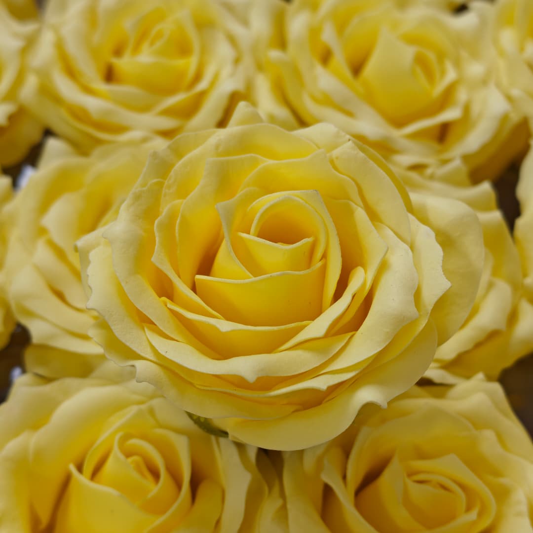 6 layers Rose Soap (25Pcs) 玫瑰6层卷边 | Soap Flowers