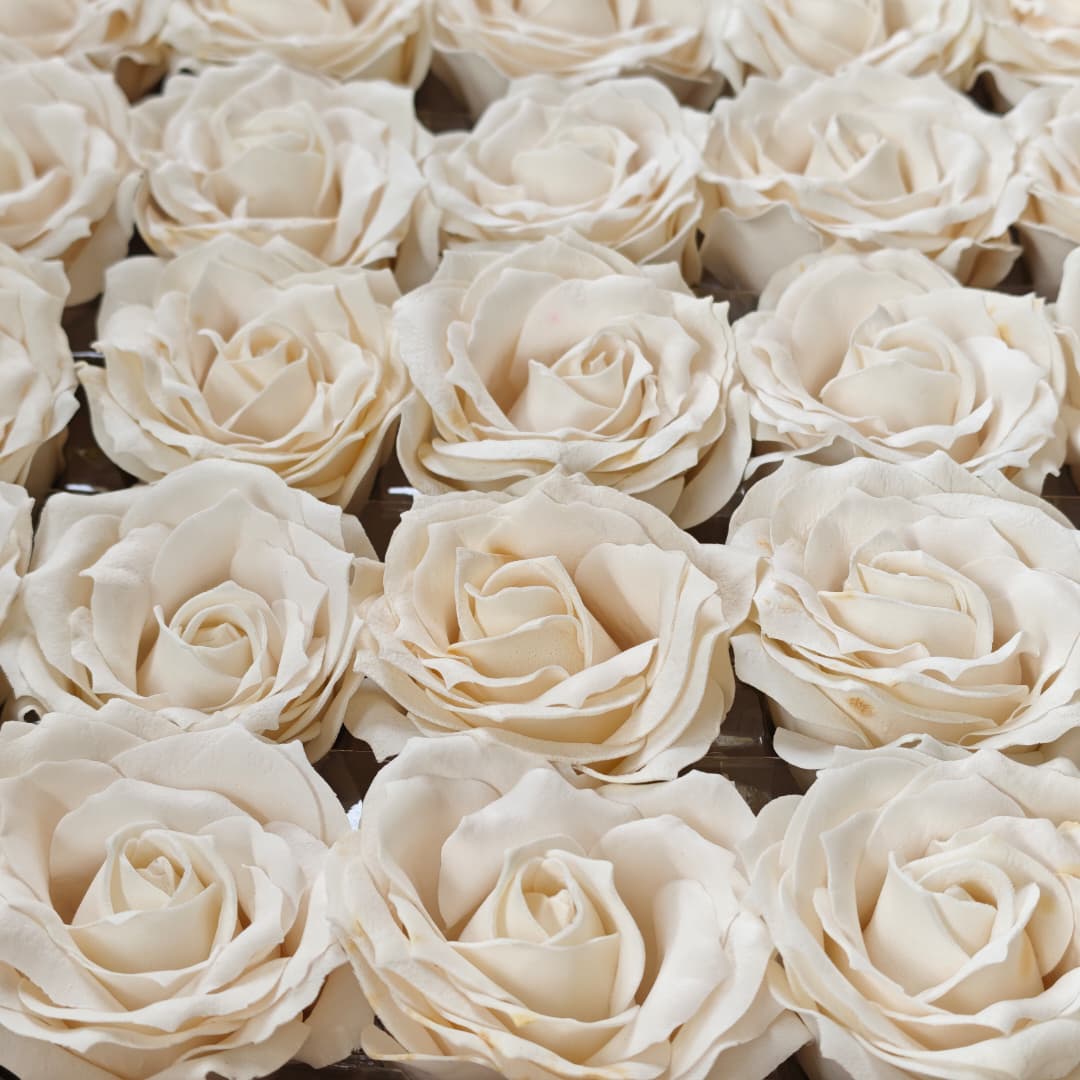 6 layers Rose Soap (25Pcs) 玫瑰6层卷边 | Soap Flowers