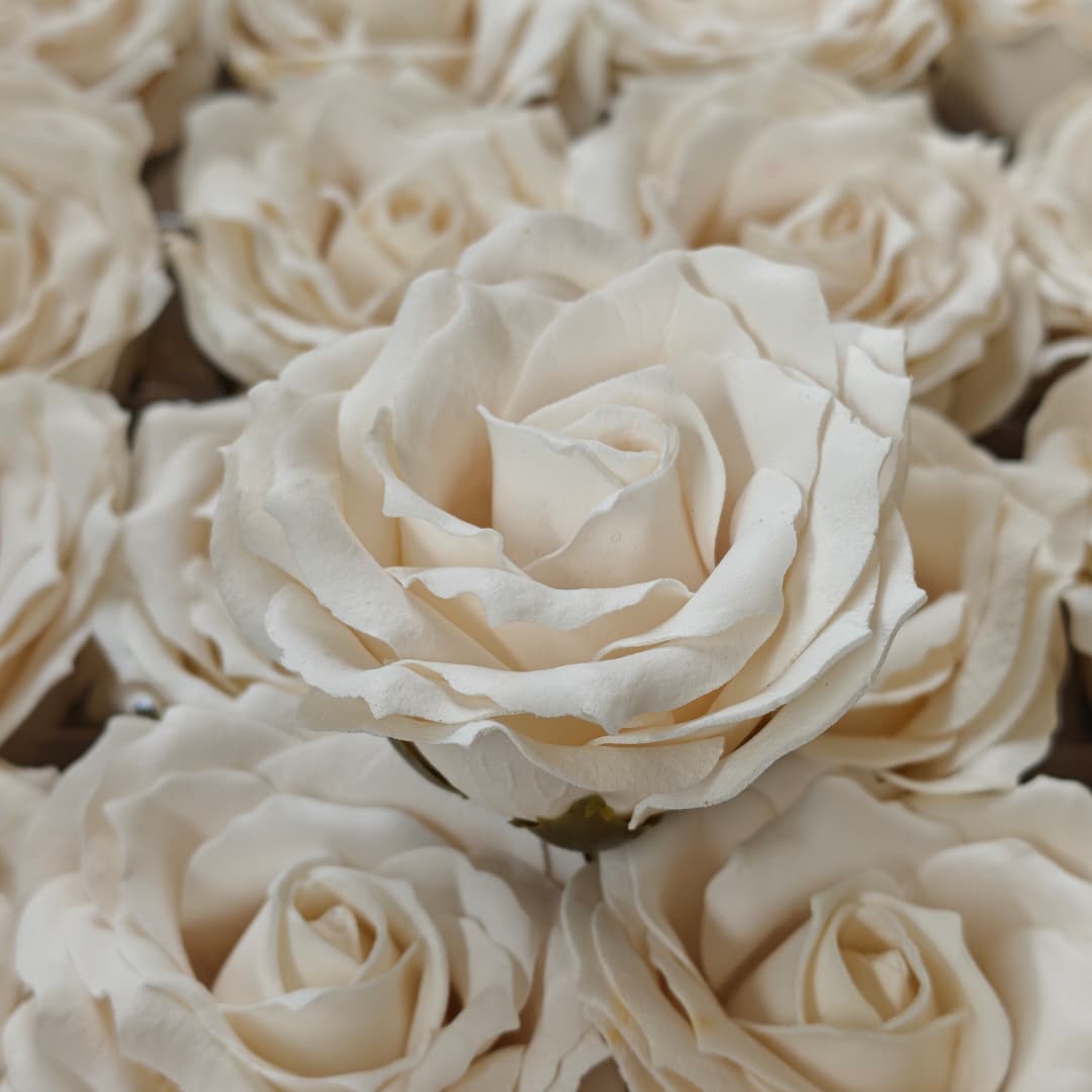 6 layers Rose Soap (25Pcs) 玫瑰6层卷边 | Soap Flowers