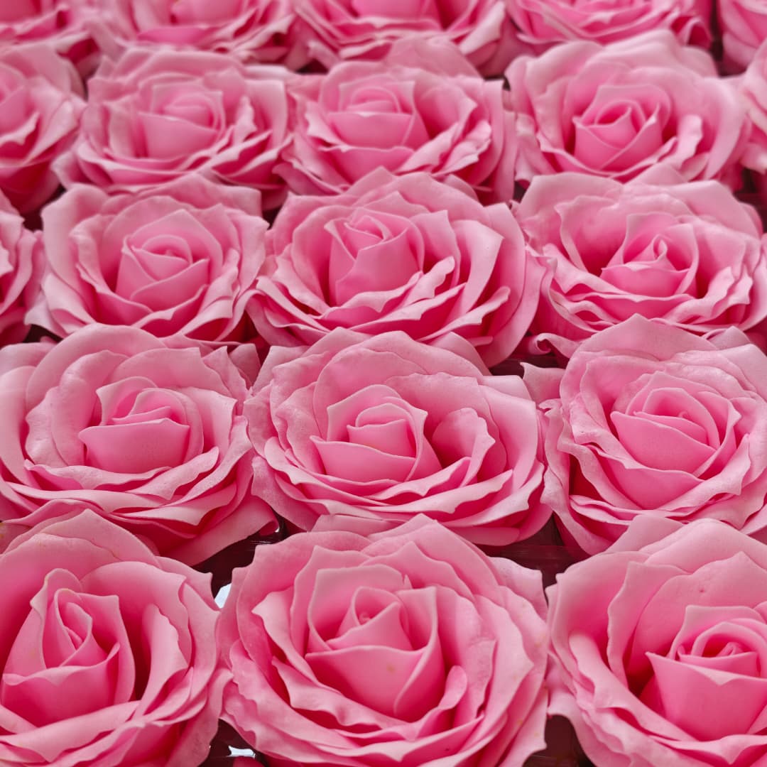 6 layers Rose Soap (25Pcs) 玫瑰6层卷边 | Soap Flowers