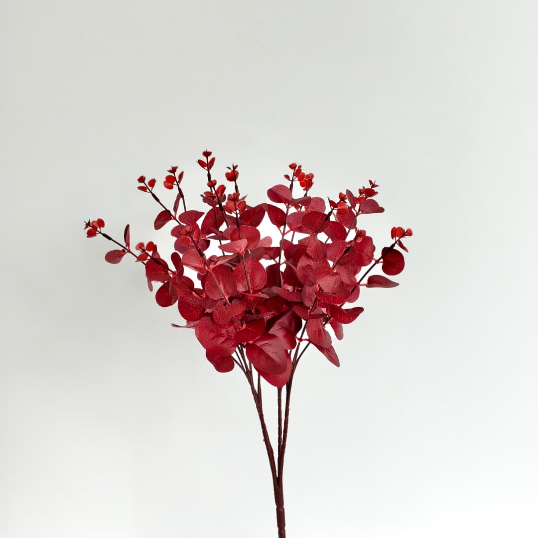 Eucalyptus 16 Heads (45cm) 尤加利/金钱叶 | Fillers