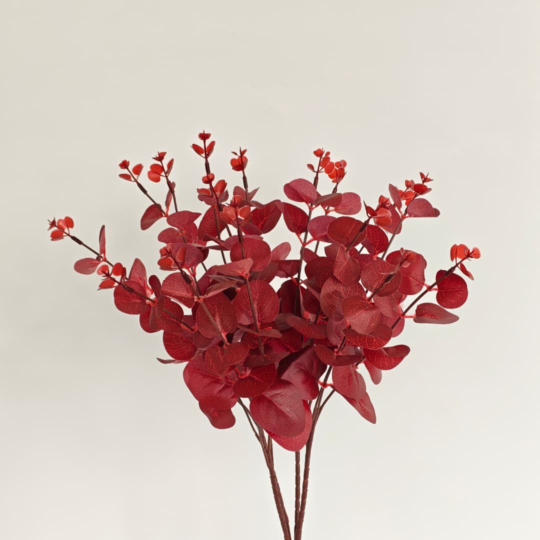 Eucalyptus 16 Heads (45cm) 尤加利/金钱叶 | Fillers