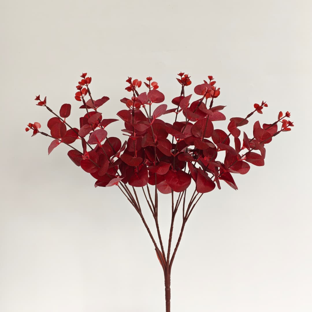 Eucalyptus 16 Heads (45cm) 尤加利/金钱叶 | Fillers