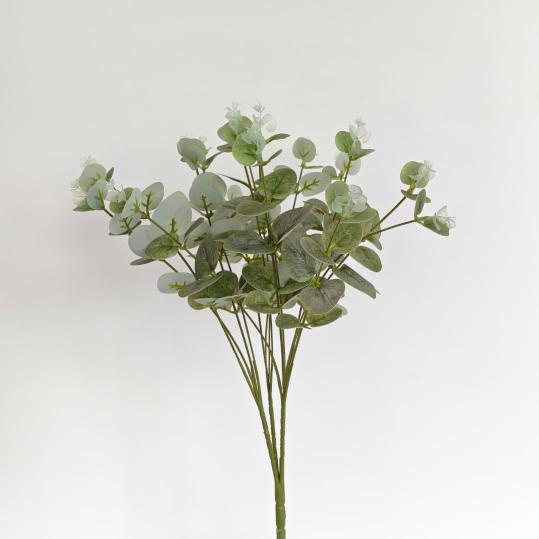 Eucalyptus 16 Heads (45cm) 尤加利/金钱叶 | Fillers