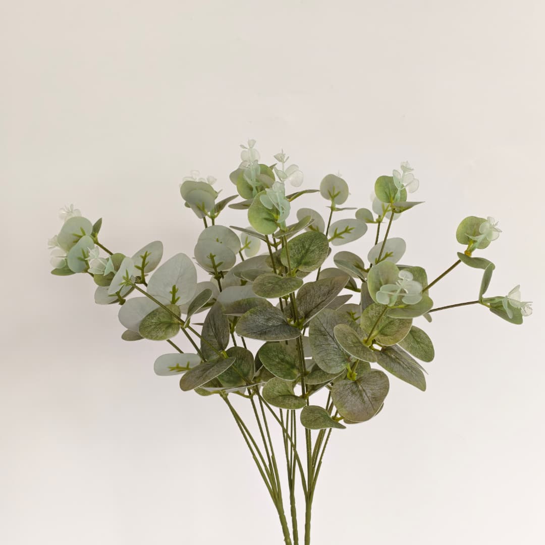 Eucalyptus 16 Heads (45cm) 尤加利/金钱叶 | Fillers