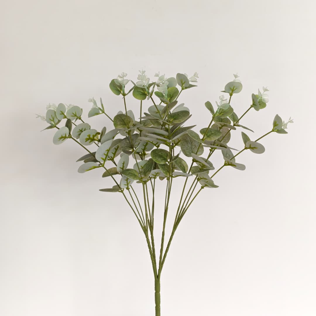 Eucalyptus 16 Heads (45cm) 尤加利/金钱叶 | Fillers