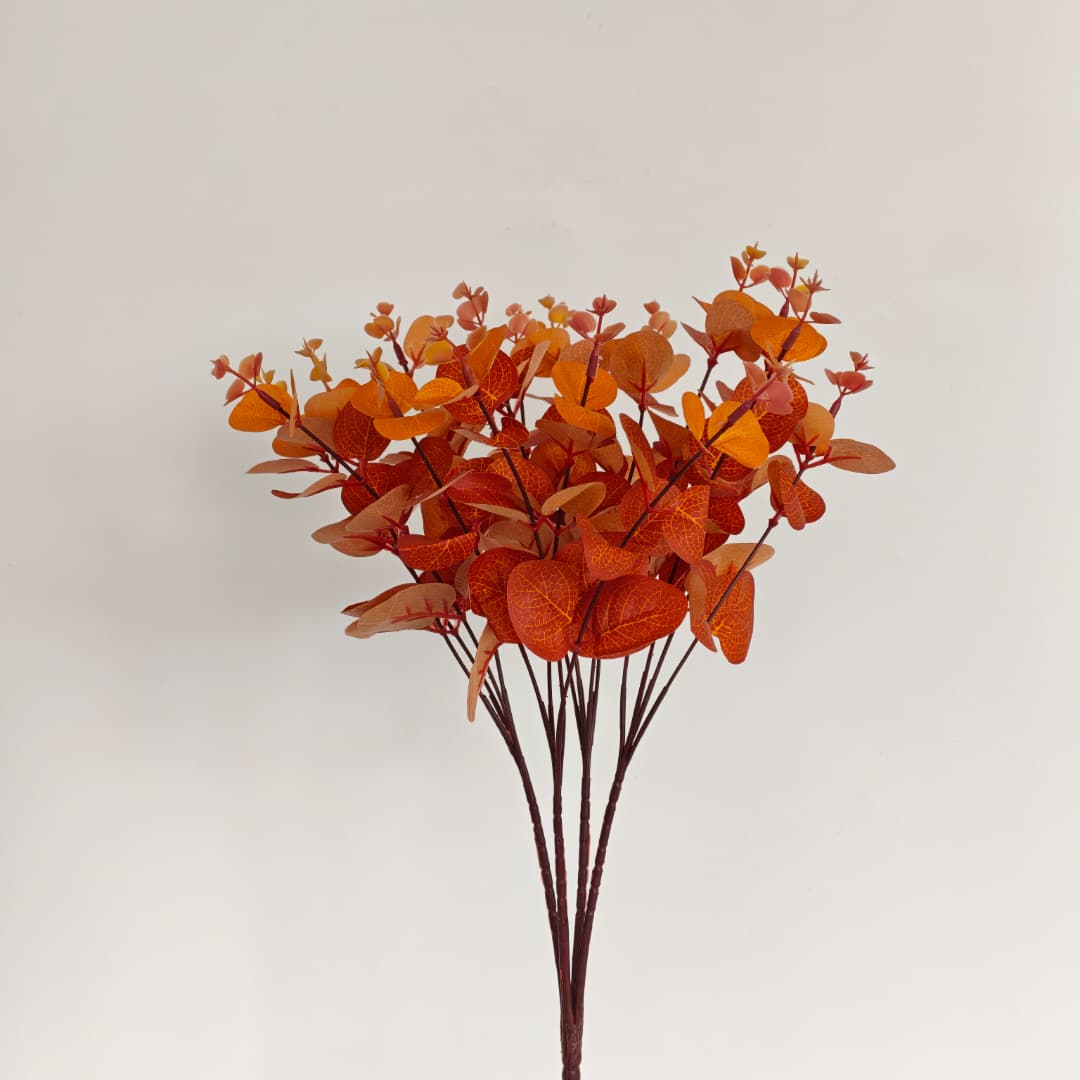 Eucalyptus 16 Heads (60cm) 尤加利/金钱叶 | Flowers & Greenery