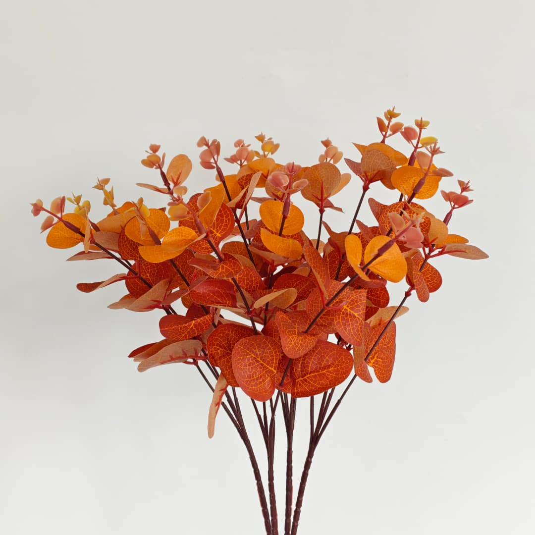 Eucalyptus 16 Heads (45cm) 尤加利/金钱叶 | Fillers