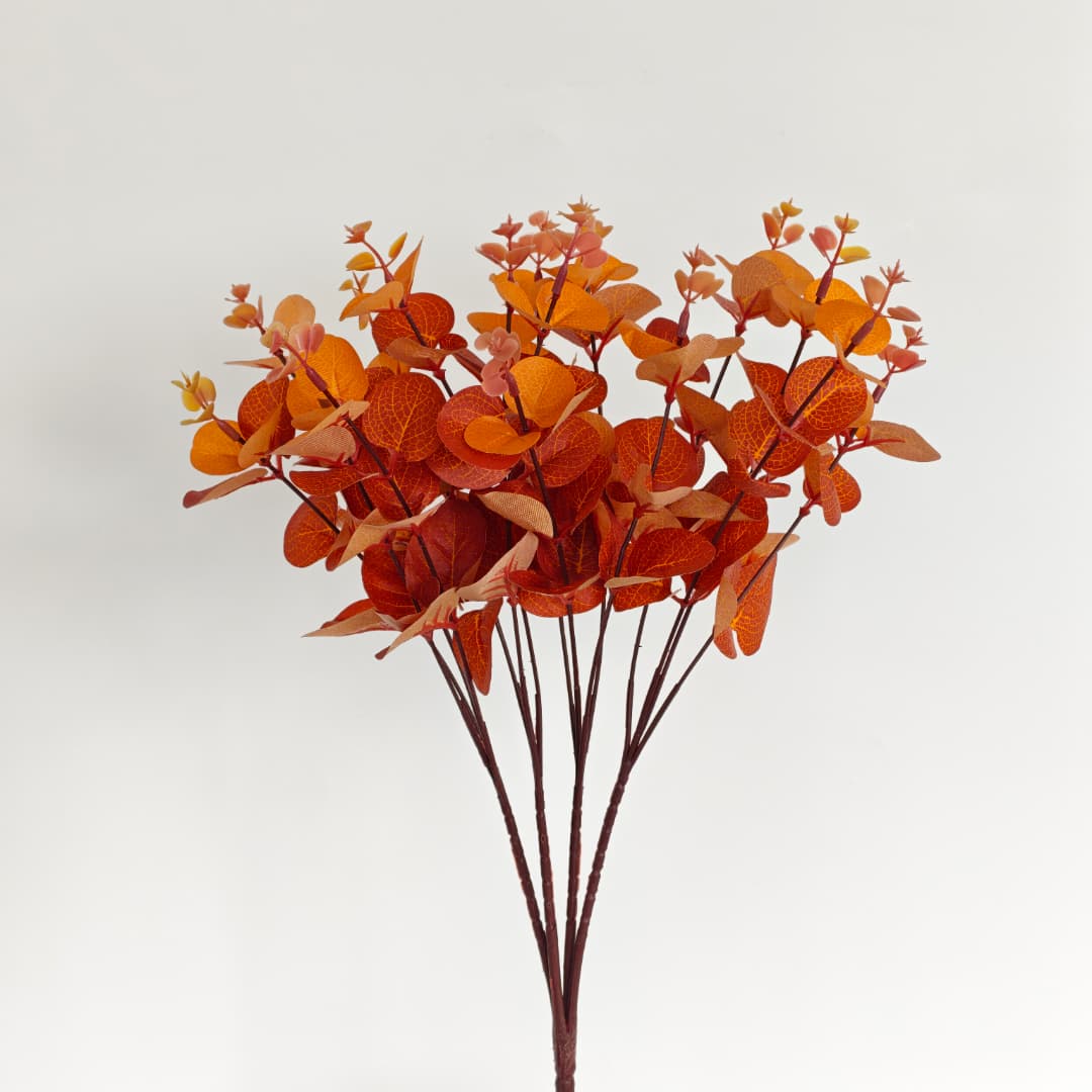 Eucalyptus 16 Heads (45cm) 尤加利/金钱叶 | Fillers