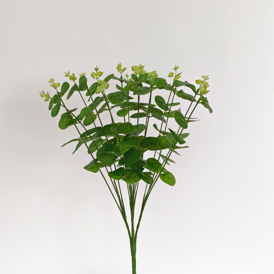 Eucalyptus 16 Heads (45cm) 尤加利/金钱叶 | Fillers