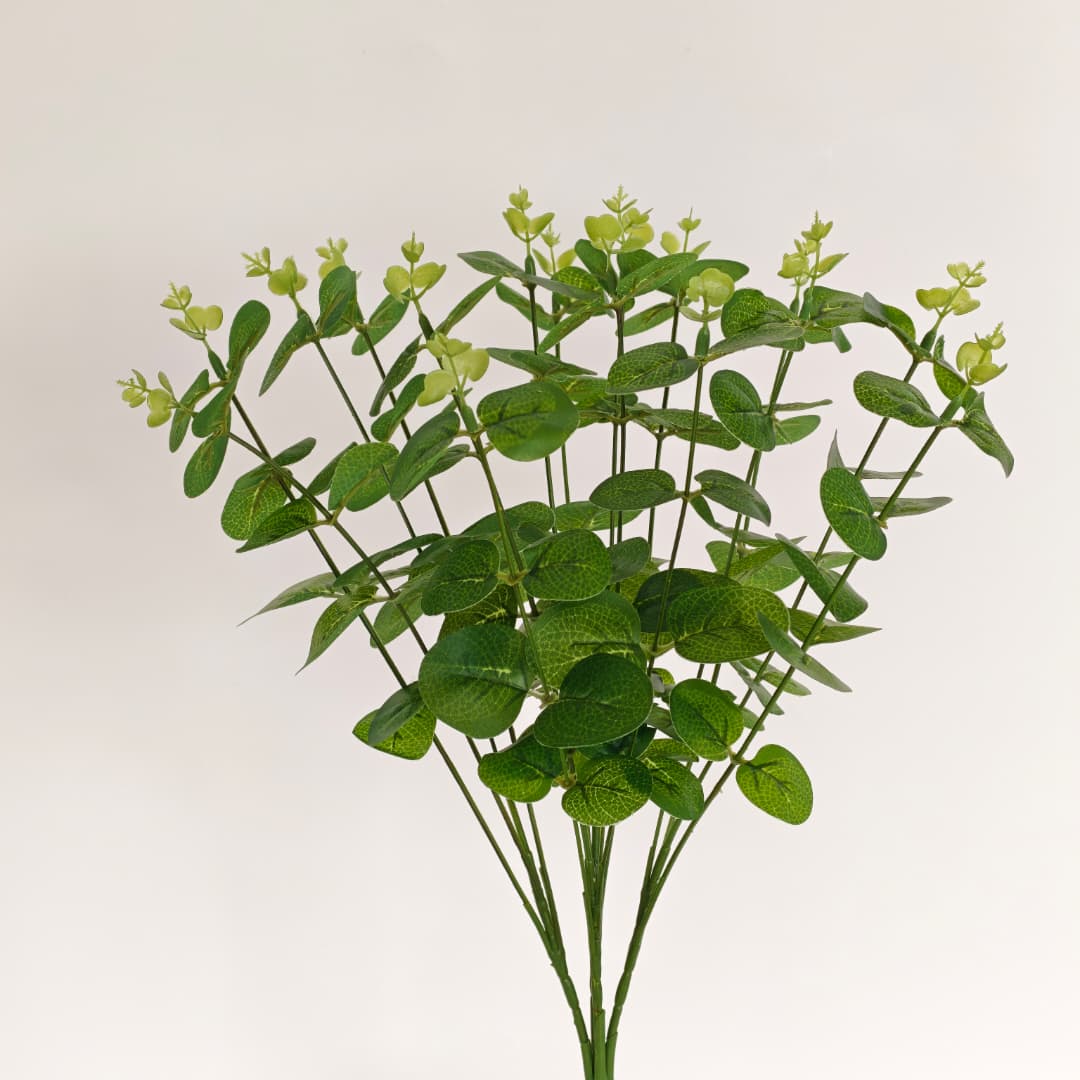 Eucalyptus 16 Heads (45cm) 尤加利/金钱叶 | Fillers