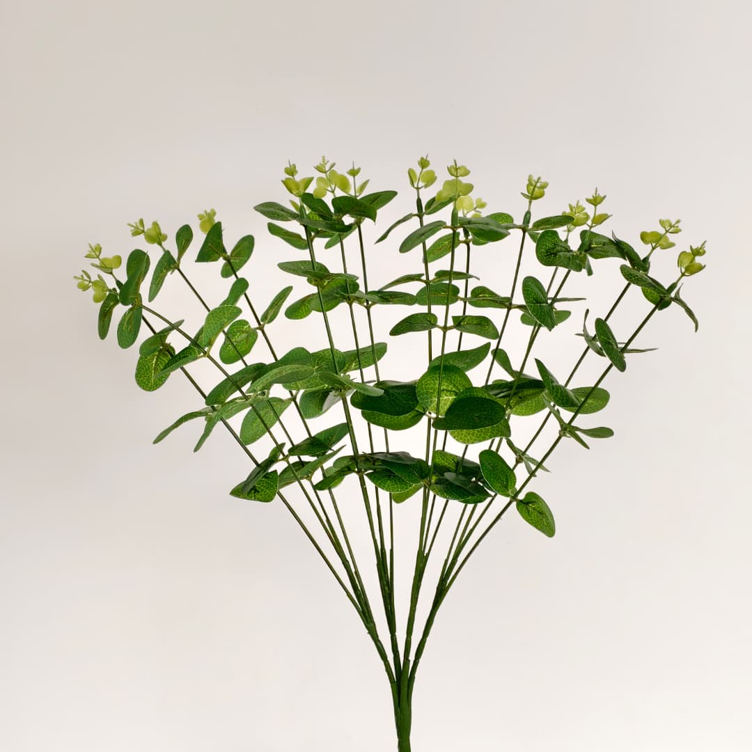 Eucalyptus 16 Heads (45cm) 尤加利/金钱叶 | Fillers