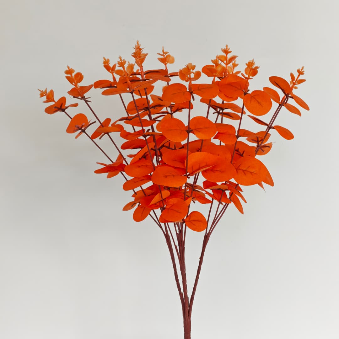 Eucalyptus 16 Heads (45cm) 尤加利/金钱叶 | Fillers