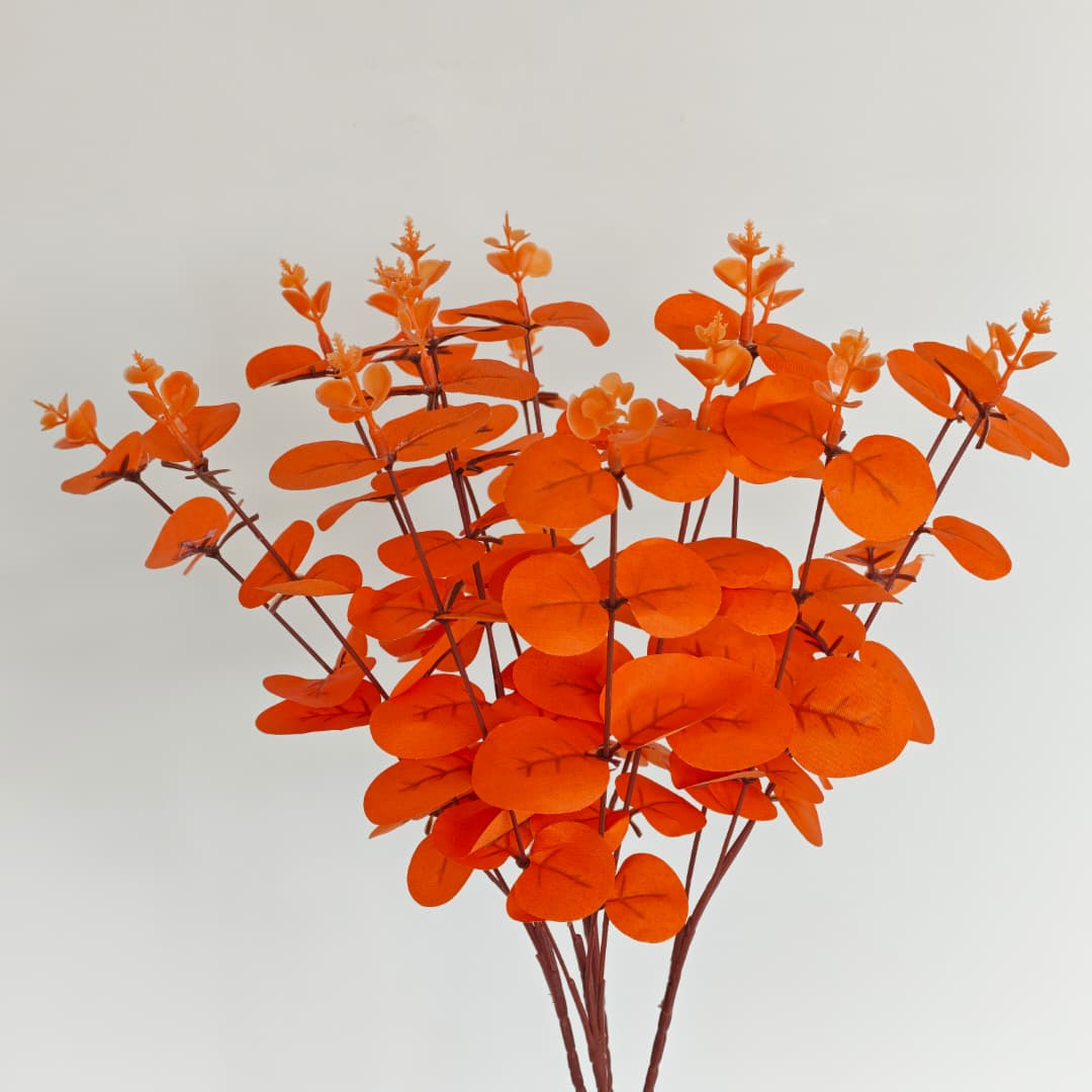 Eucalyptus 16 Heads (45cm) 尤加利/金钱叶 | Fillers