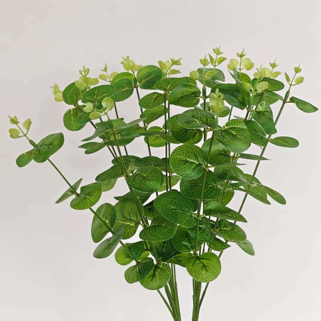 Eucalyptus 16 Heads (45cm) 尤加利/金钱叶 | Fillers