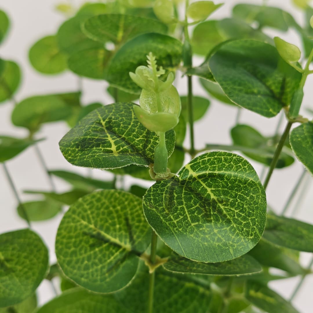Eucalyptus 16 Heads (45cm) 尤加利/金钱叶 | Fillers
