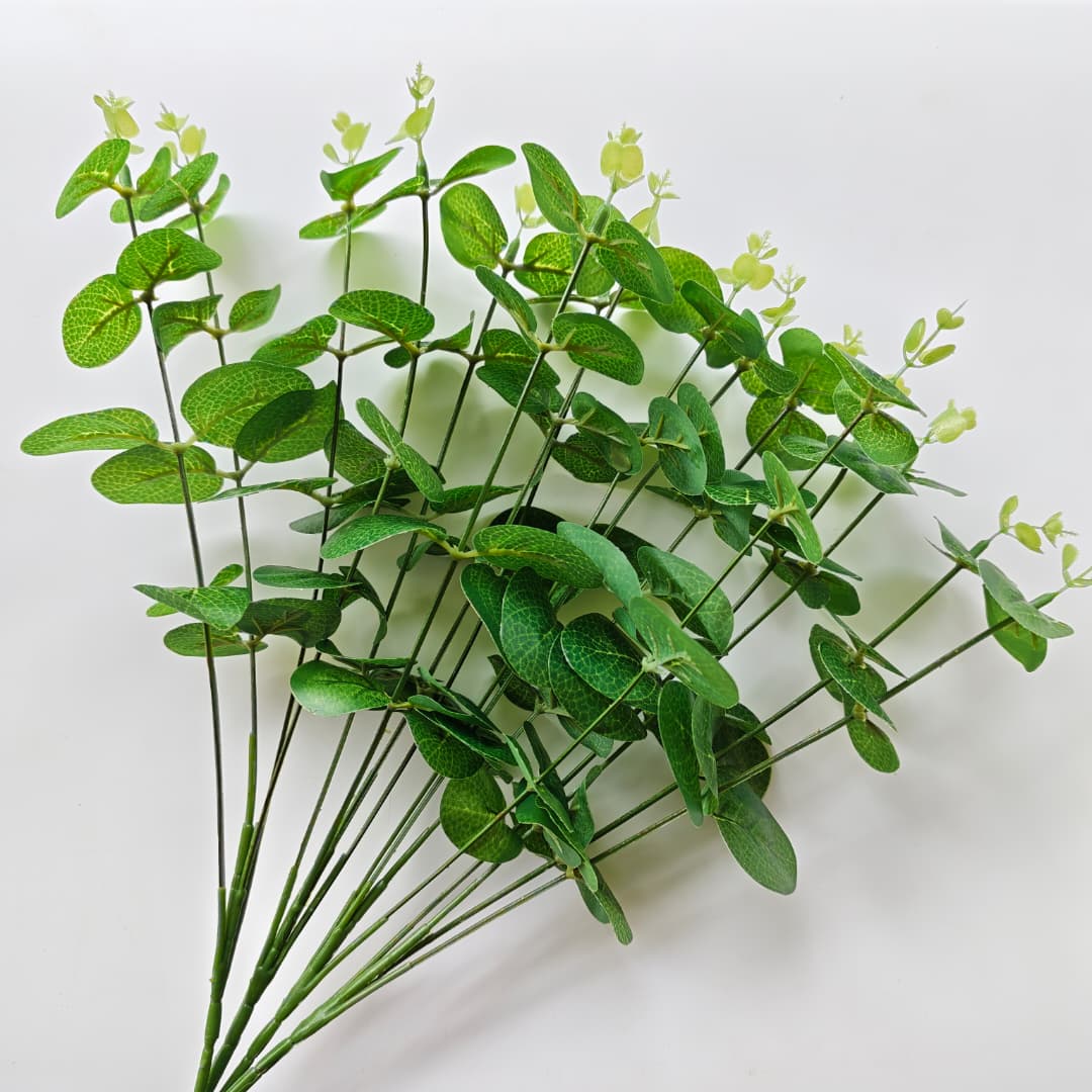 Eucalyptus 16 Heads (45cm) 尤加利/金钱叶 | Fillers