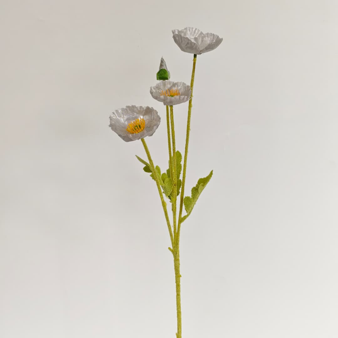 Corn Poppy x 4 (59cm) | Short Flowers