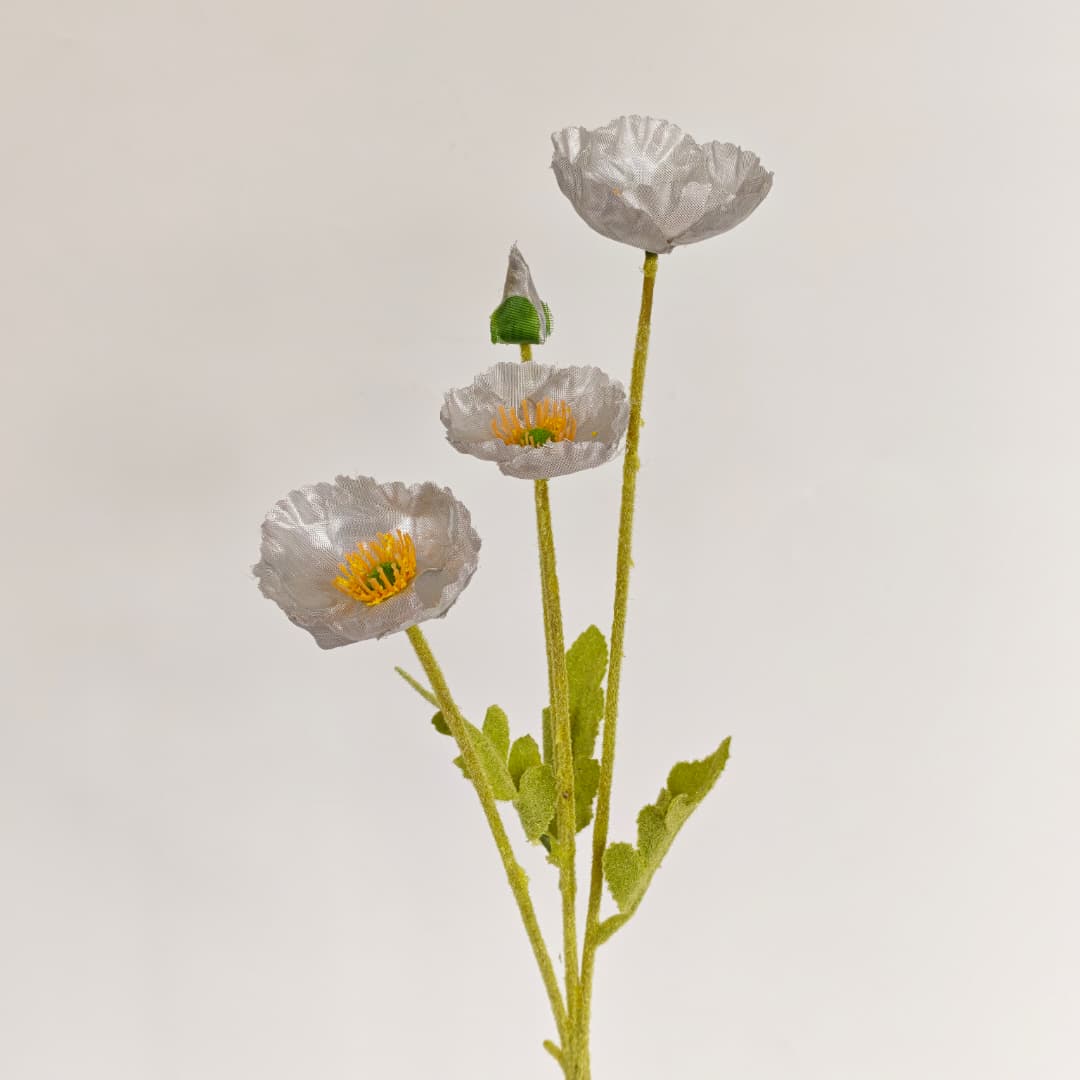 Corn Poppy x 4 (59cm) | Short Flowers