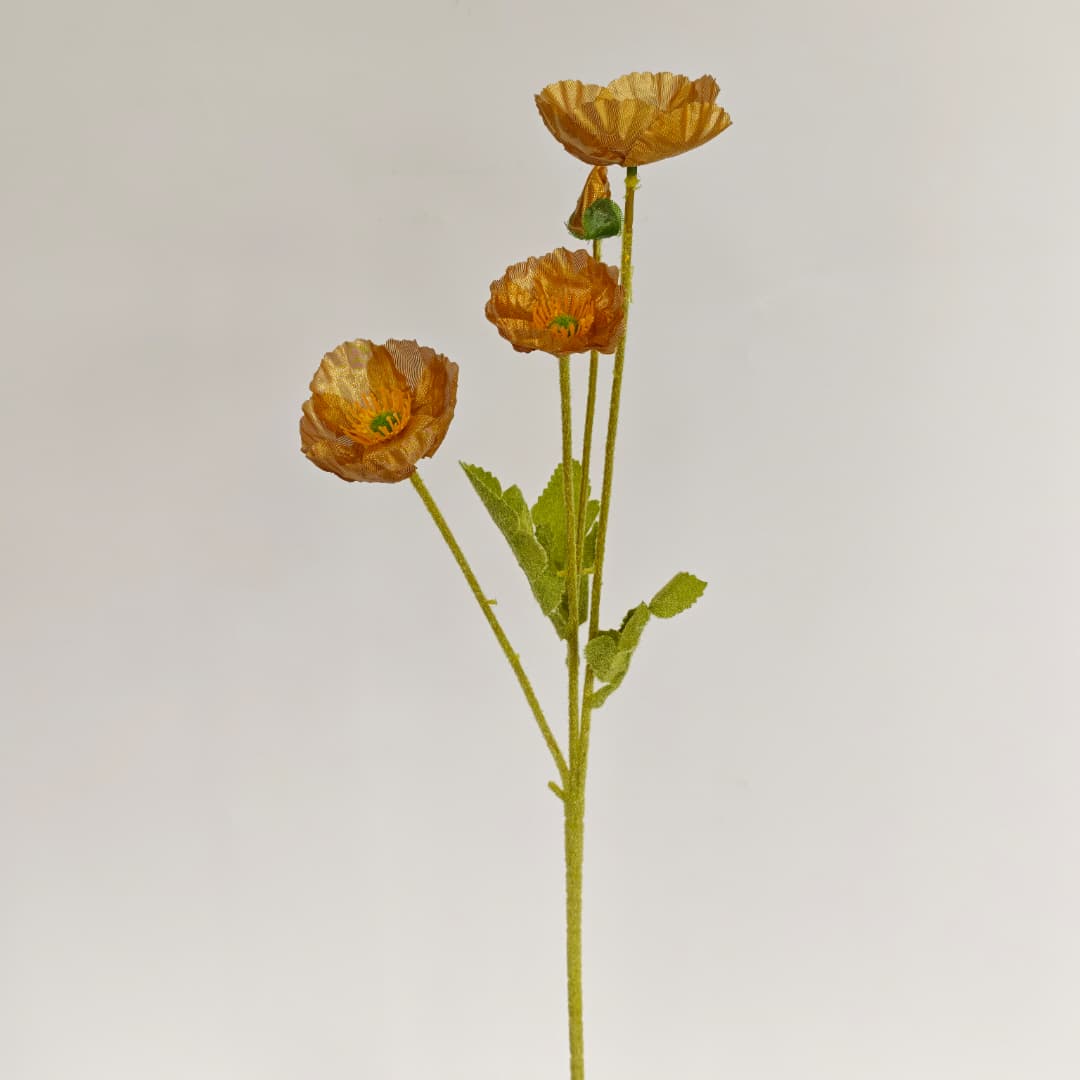 Corn Poppy x 4 (59cm) | Short Flowers