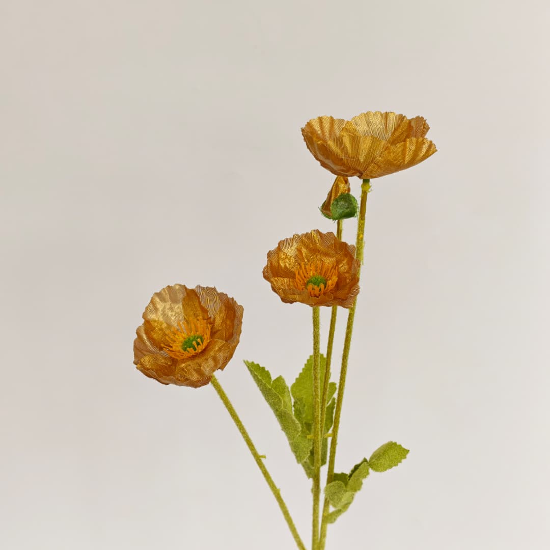 Corn Poppy x 4 (59cm) | Short Flowers