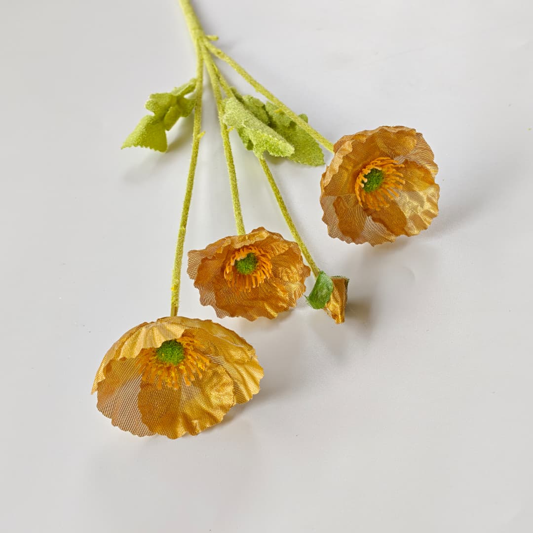 Corn Poppy x 4 | Flowers & Greenery