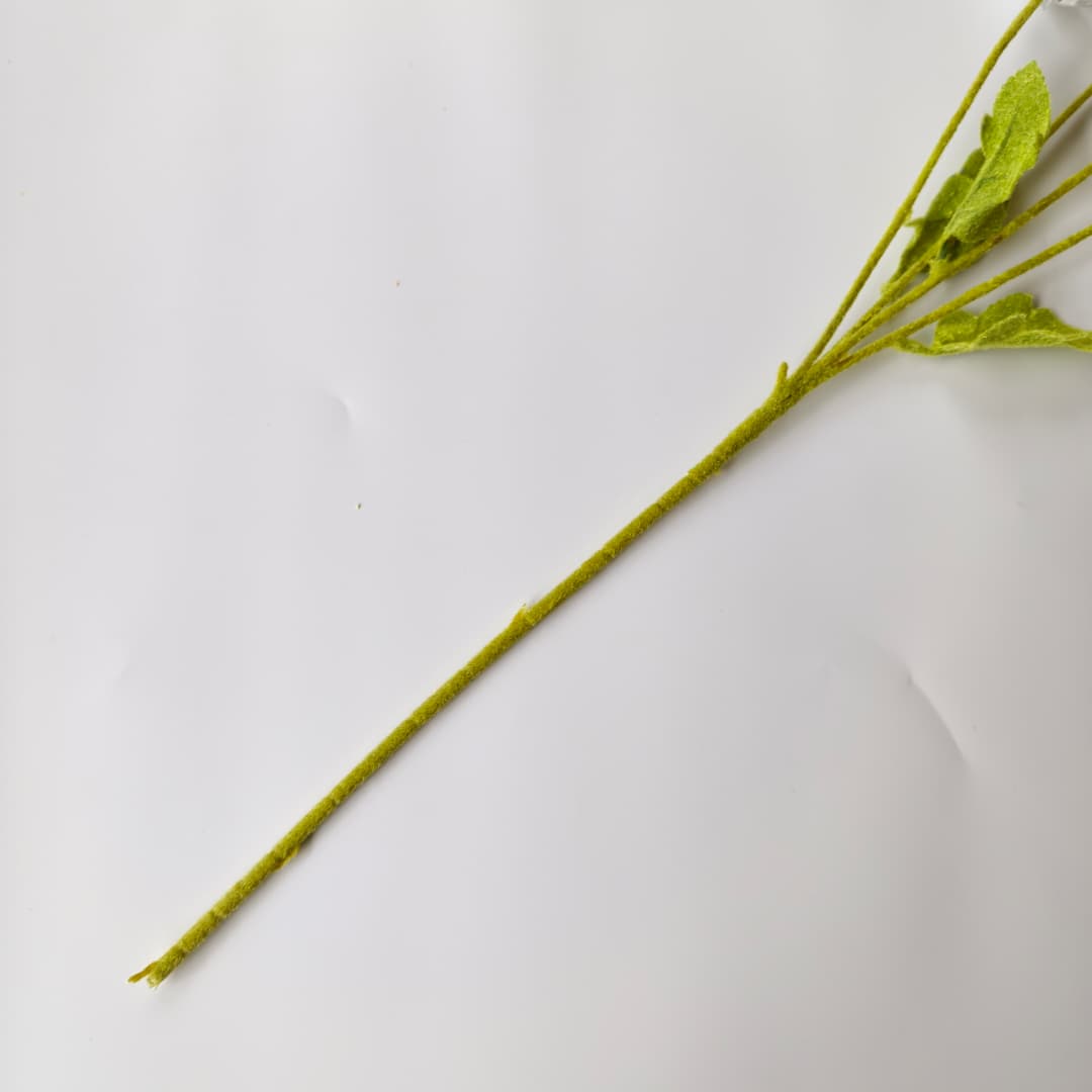 Corn Poppy x 4 (59cm) | Short Flowers