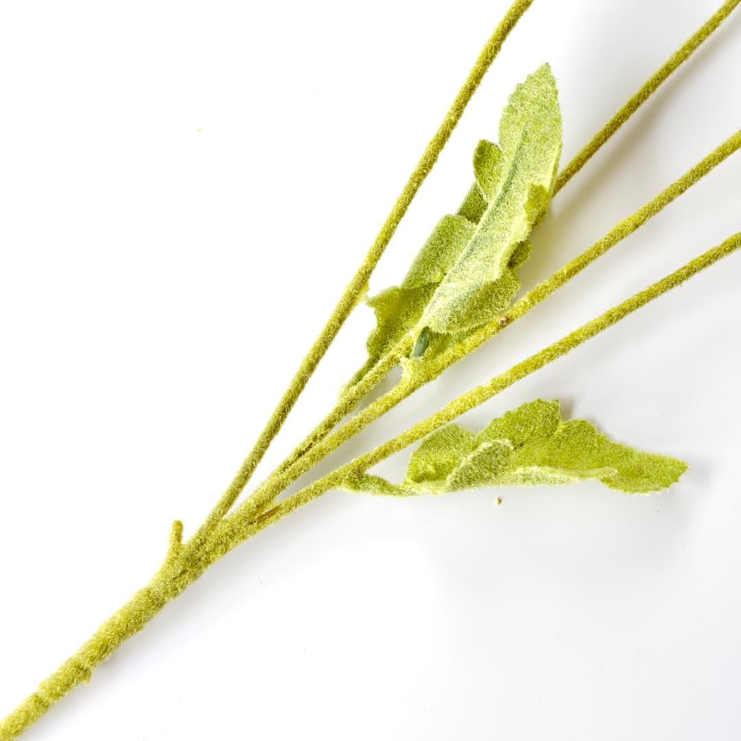 Corn Poppy x 4 (59cm) | Short Flowers