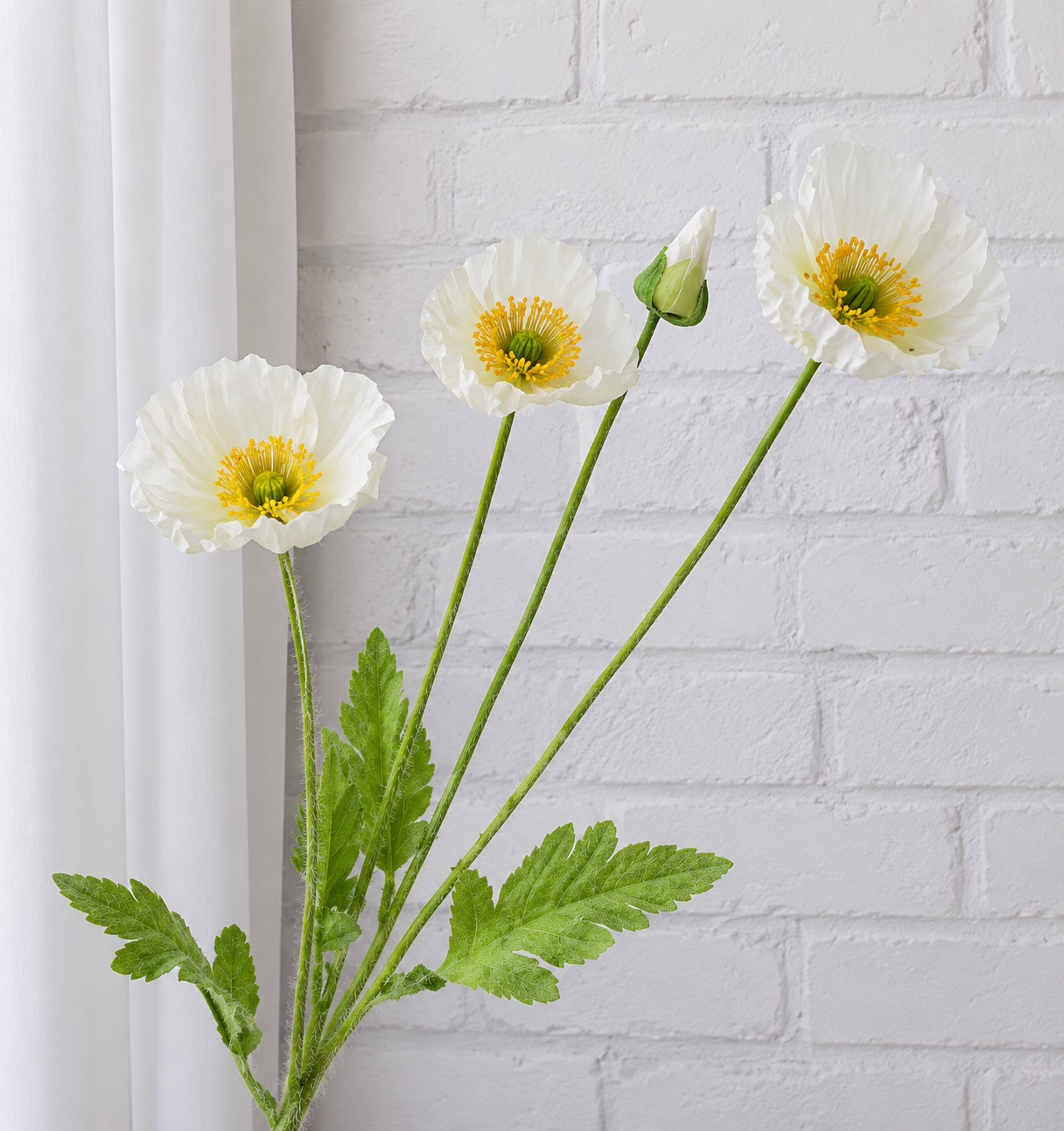 Corn Poppy x 4 (59cm) | Short Flowers