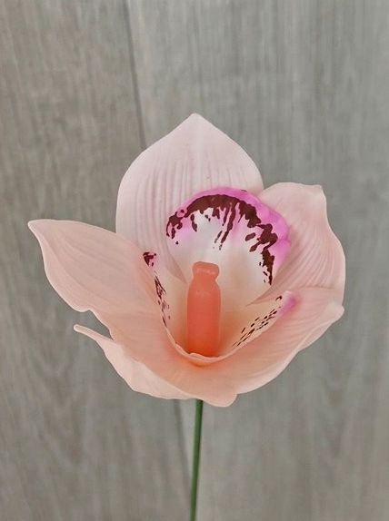 Cymbidium Orchid Soap Flower (16Pcs) 惠兰香皂花 | Soap Flowers